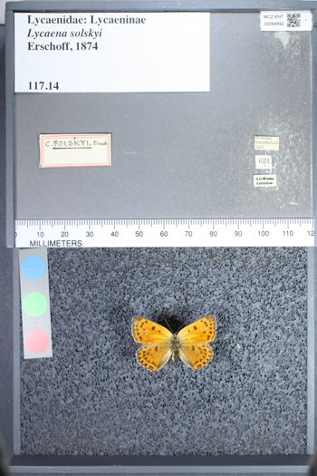 Media type: image;   Entomology 64892